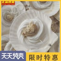 9-10粉丝扇贝100个鲜活冷冻蒜蓉扇贝肉海鲜烧烤清蒸食材夏夷贝