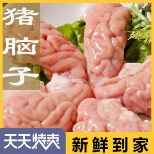 新鲜冷冻带小脑猪脑子20斤  约96个 猪脑花火锅脑髓生猪脑板烧烤