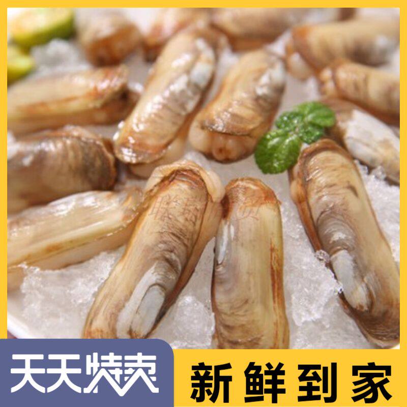 海鲜水产指甲贝6斤包冰约180个贝类蛏子蛏子野生双头蛏海蚬海贝