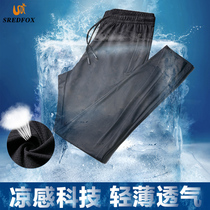 赛丹狐运动长裤男宽松夏季薄款速干冰丝女空调卫裤散口跑步裤子