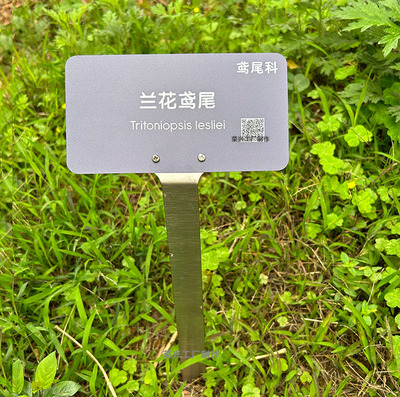 树木植物绿化科普提示牌插地牌