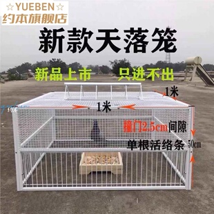 捕鸽神器抓鸽子笼全自动户外野布鸽天落笼扑捉逮撞门笼祇进不出收