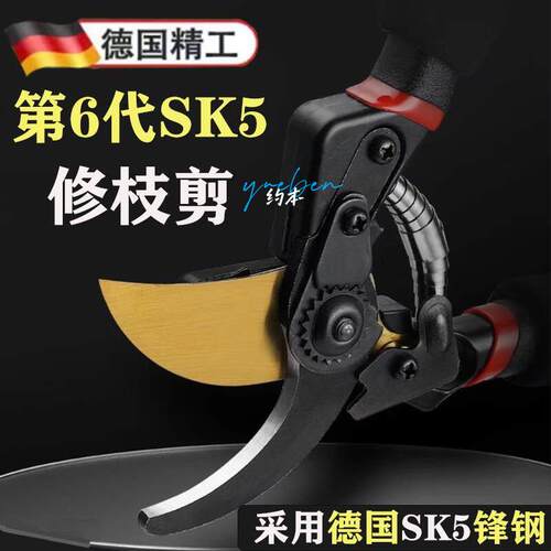 德国进口SK5强力园艺剪高速网省力修剪枝果树粗枝树枝专用剪子