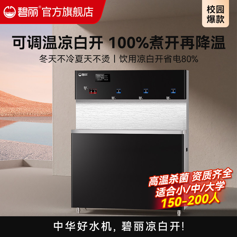 碧丽商用净水器反渗透加热一体