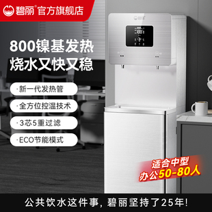 碧丽商用开水器大型工厂办公室学校直饮水机全自动净化一体W L20