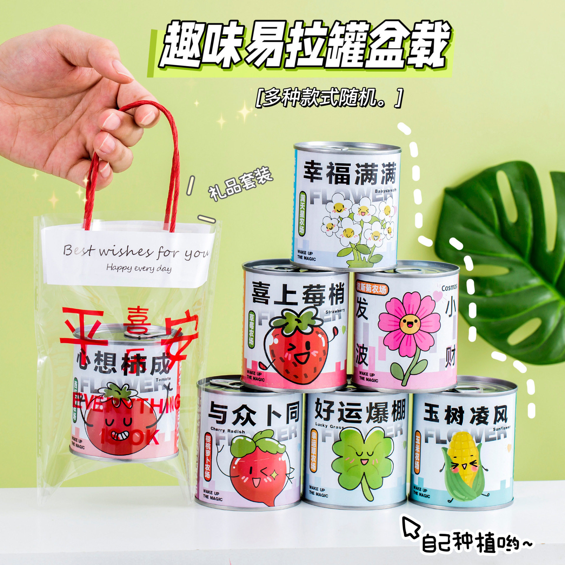 儿童节个性礼袋罐装种植盆栽生日礼品植物全班分享礼物幼儿园奖品