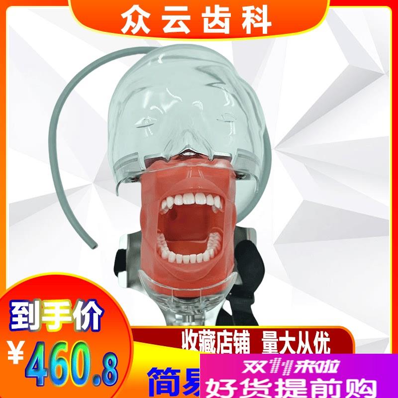 牙科口腔教学仿真模型简易头模树脂根管J牙粒备牙标准头模三合一