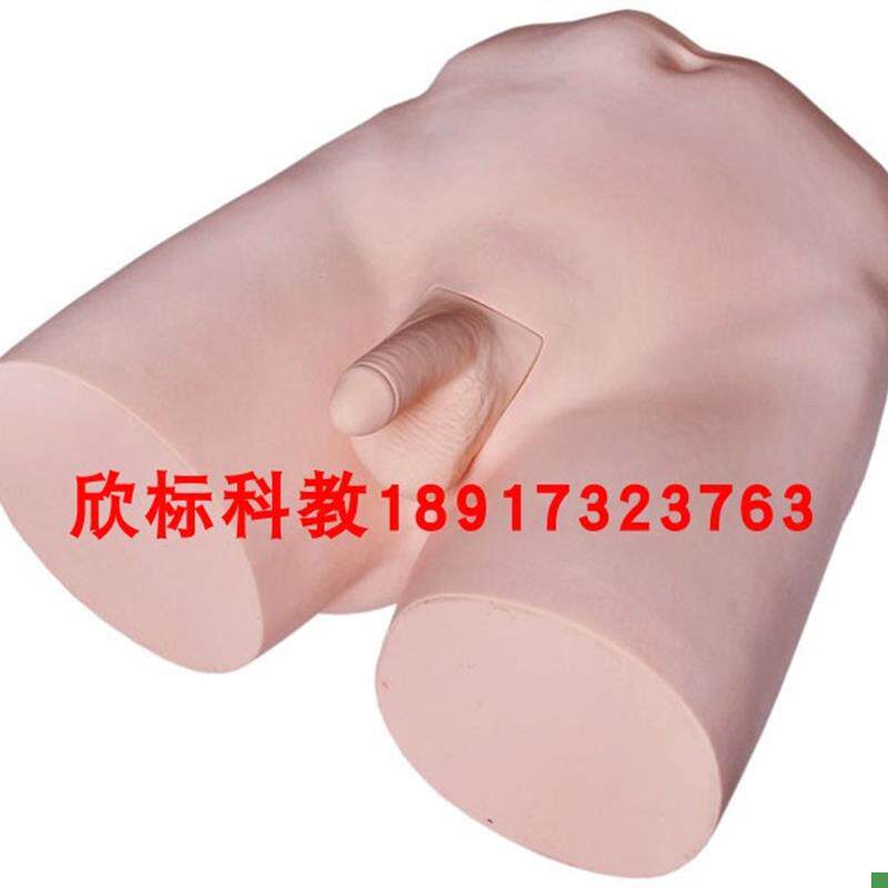 输精管结扎术训练模型护士培训结扎术训练模型教V学结扎术模型