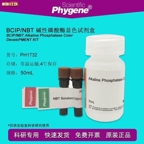 CIP/NBT碱性磷酸酶显色试剂盒科研实验[PH1732PHYmGENE]