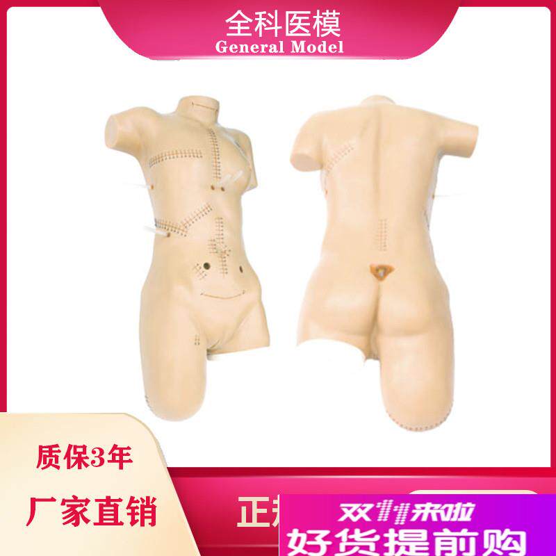 外科缝合包扎e展示模型全身外科清创切开缝合拆线换药操作训练模