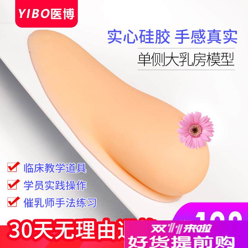 乳房模型教具催乳师培训乳x房模型模具教学女性仿真乳房硅胶