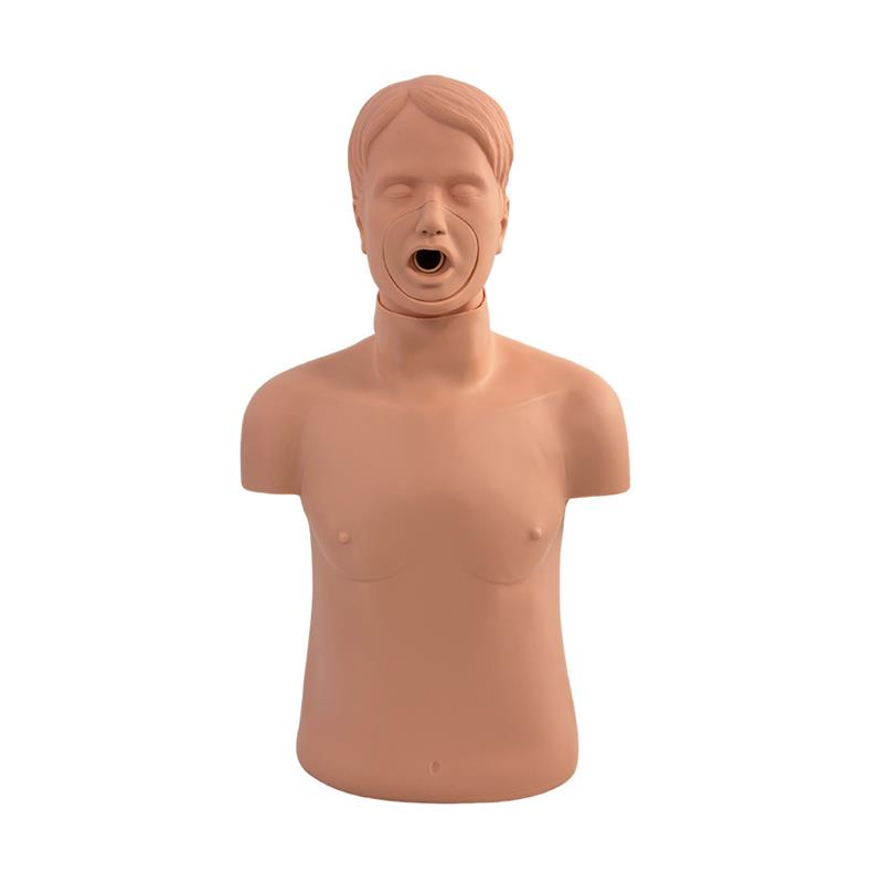 儿童海姆立克模型幼儿窒息模型婴儿E梗塞训练假人海氏急救培训教