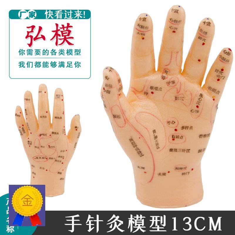 针灸手模型 对应人体内脏器官在手上的针灸位置 按摩手模具