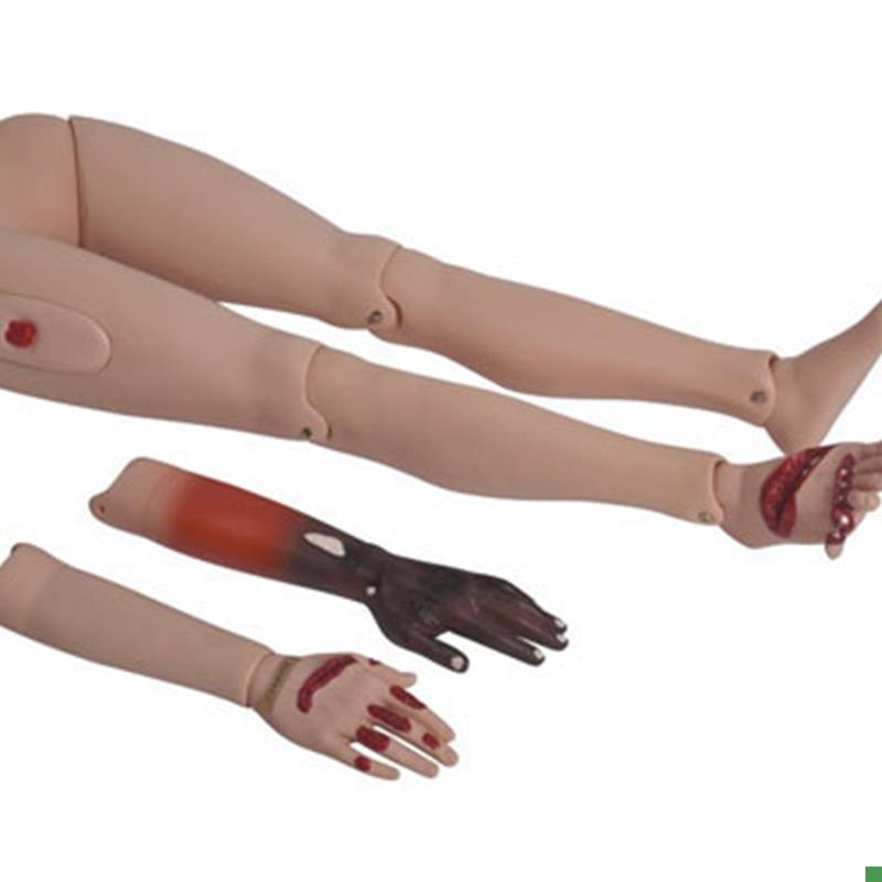 高级创伤护理训练四肢模型模块上肢下J肢包扎伤口处理练习模具