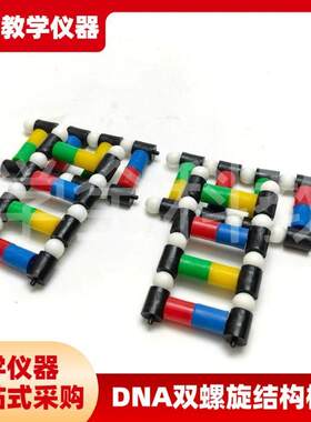 DNA双螺旋结构模型分子结构模型脱氧核苷酸链碱基对Z遗传染色体