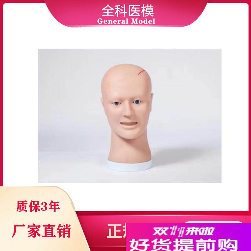 清创缝合训练z头部模型LV18
