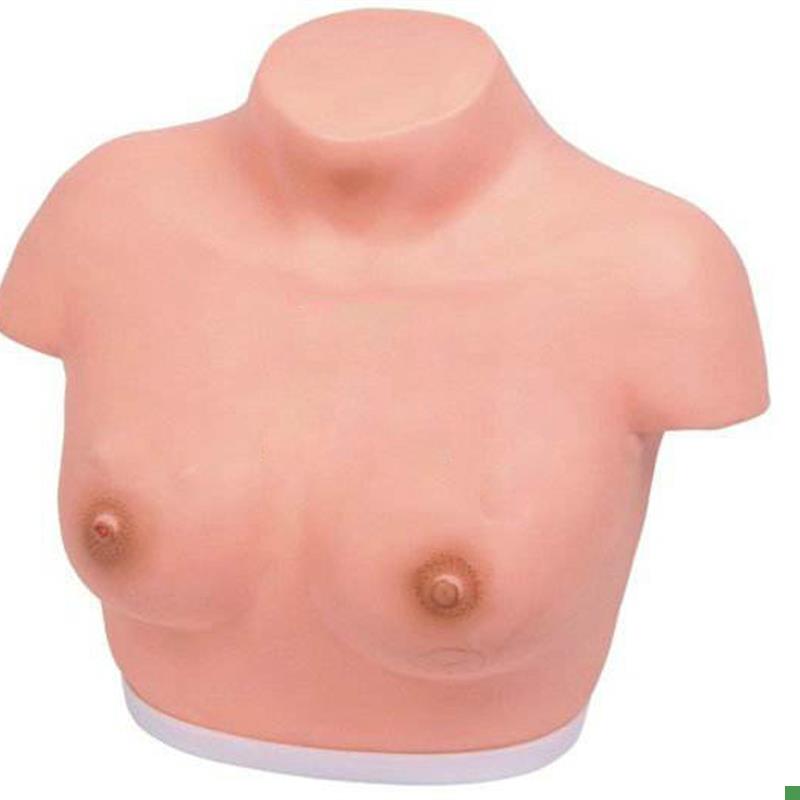 高级乳腺视诊P与触诊模型
