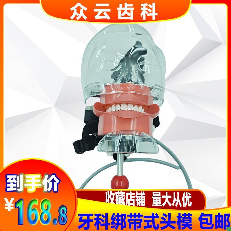 牙科口腔材料牙齿教学模型根管开髓牙备牙K修复牙模型仿真绑带头