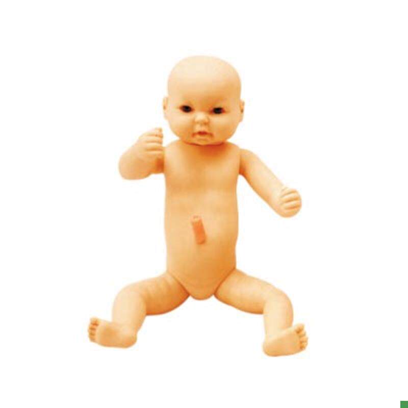 高级出生婴儿附p脐带模型JY/FT2佳悦科教通