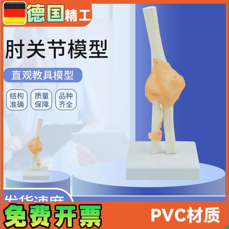 肘关节模型c人体骨骼解剖教具医药礼品骨头教学尺骨桡骨肱骨正品