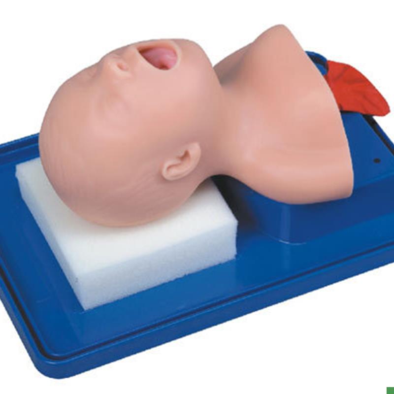 气管插管a模型新生儿婴儿儿童急救成人医用气管插管训练人体模型