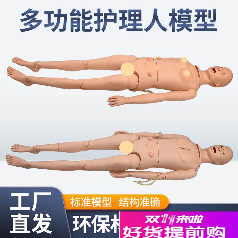 高级男女性护理人体模型灌肠插尿管医学导尿技能操Y作护理模特