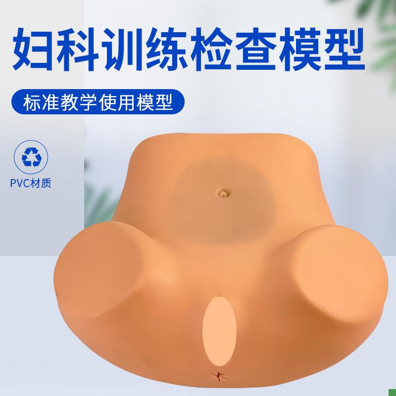 F3妇科检查训练模型子宫示v教异常子宫触诊模型腹腔盆腔教学模具
