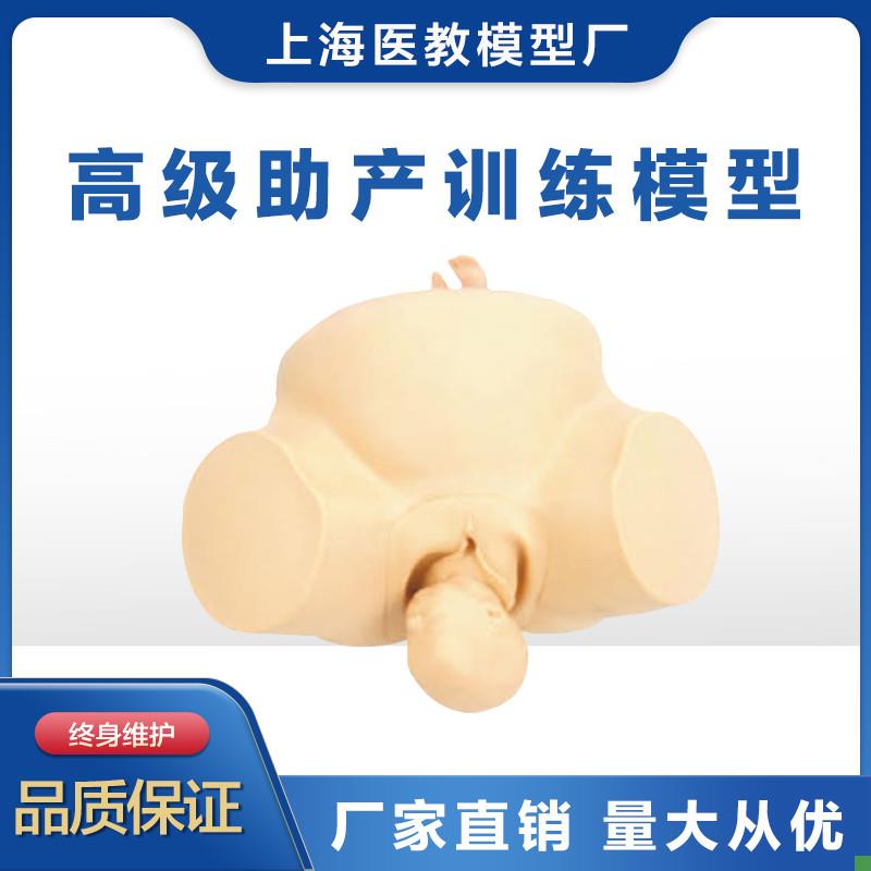 助产训练模型人体模型分娩助产练习模K型胎儿模型妇产科训练