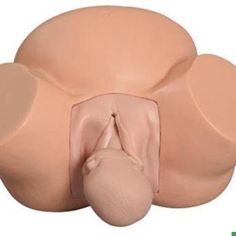 分娩示教模型h高级难产示教训练模型妇产科难产助产分娩教学模型