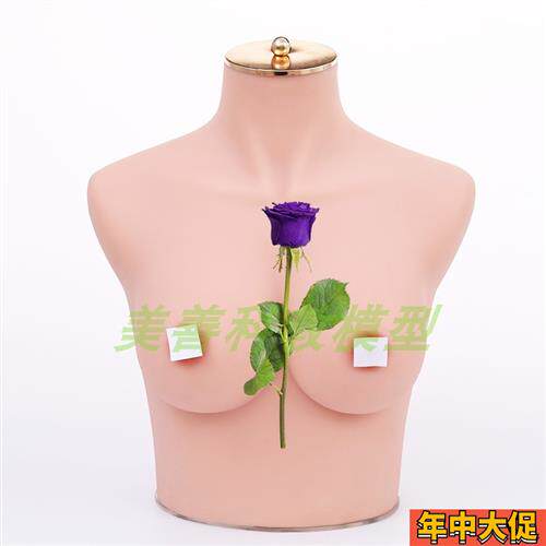 内衣文胸橱窗展示拍摄道具女半身硅胶软体仿真人模特75b/c胸模