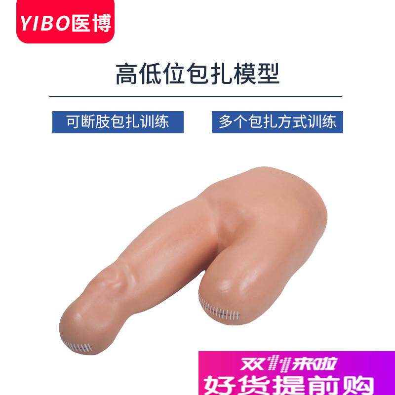 人体断肢包扎处i理模型高低位包扎训练模型医用人体教学模型