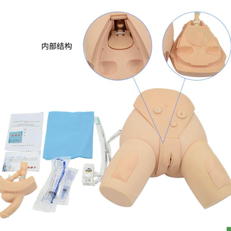 下半身导尿护理模型整体导尿培训模P型男女性导尿模型