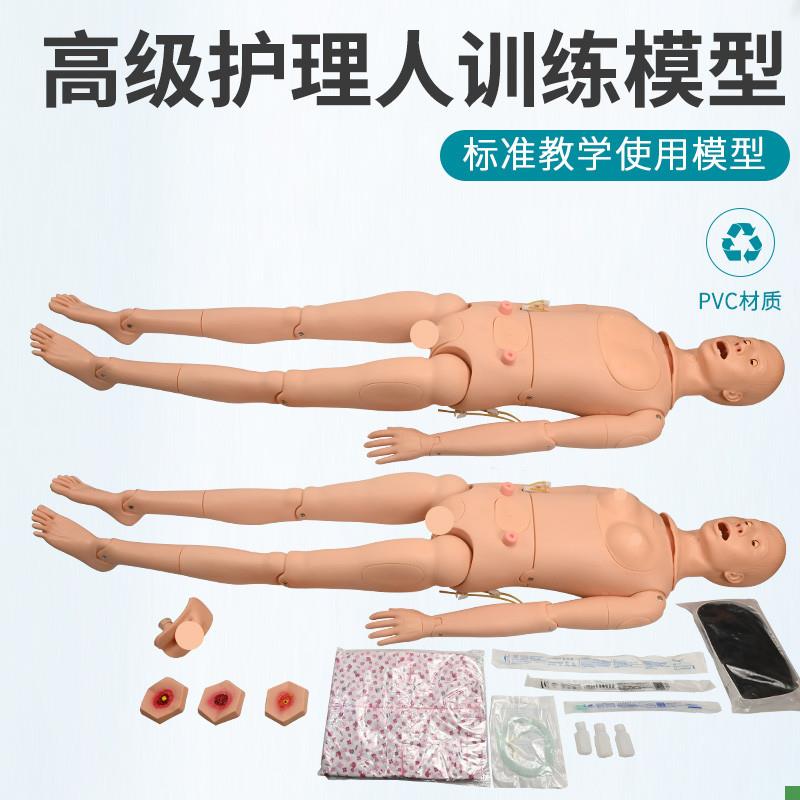 高级全功能护理人体模型男女导尿模型H带内脏褥疮口鼻插管吸痰洗
