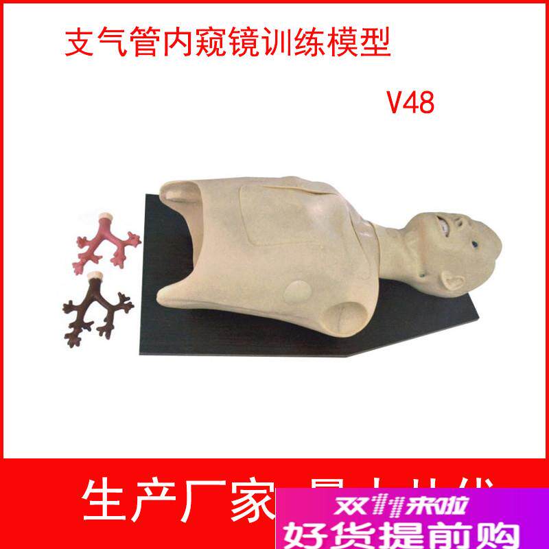 支气管内a窥镜检查模型支气管镜训练模型内窥镜训练模型