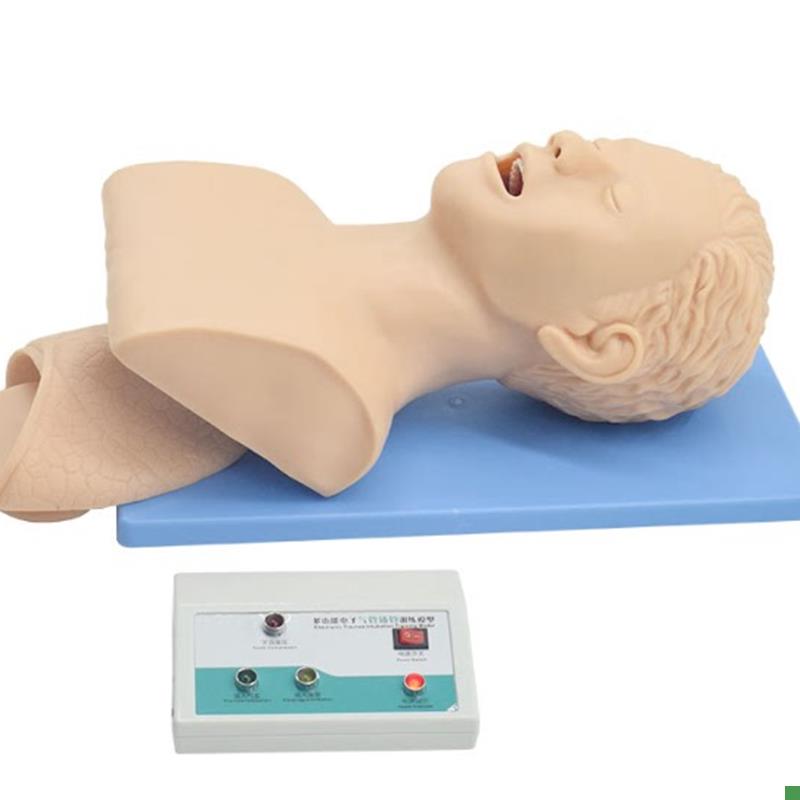 电子人体气管插管训练模型牙齿报警气T道插管练习模具