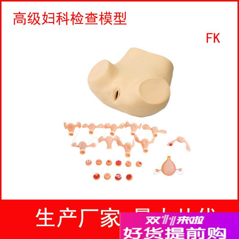 高级妇科综合检查训练模型腹腔镜检查及L妇婴训练模型子宫触诊视