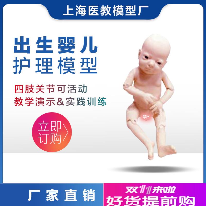 高端关节螺丝出生婴儿模U型四肢可活动