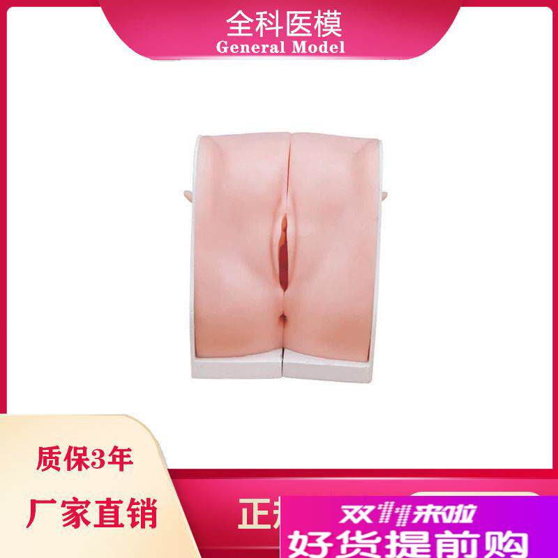 避孕指导c模型女性宫内节育器上环取环训练模型妇科教学用模型