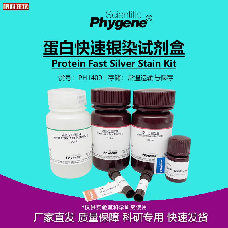 白快速银染试剂盒ProteinaSilverStainKit[PH1400PHYGENE]