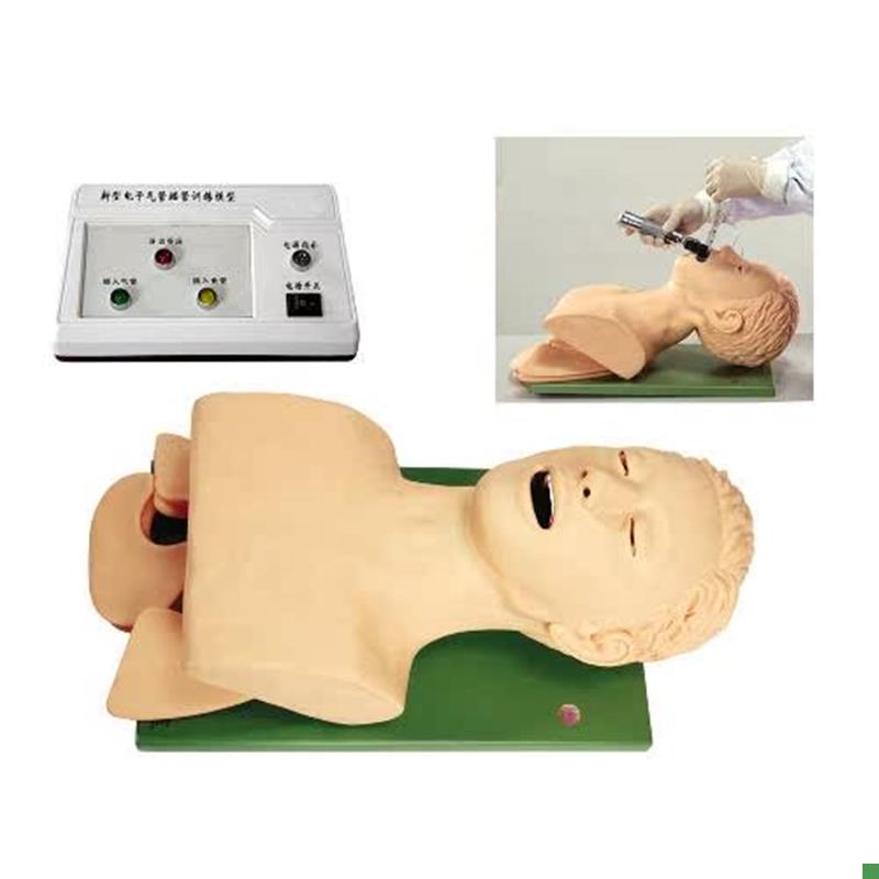 电子人体b气管插管训练模型(带牙齿受压报警)