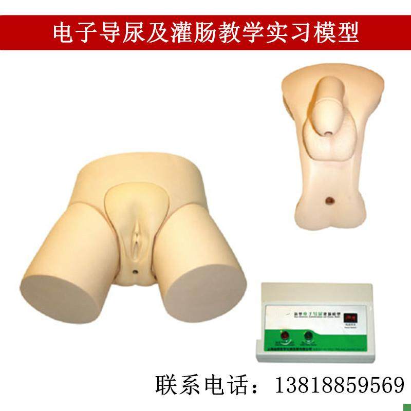 电子导尿及灌肠教学实习s模型男女性导尿训练模型灌肠操作教学模