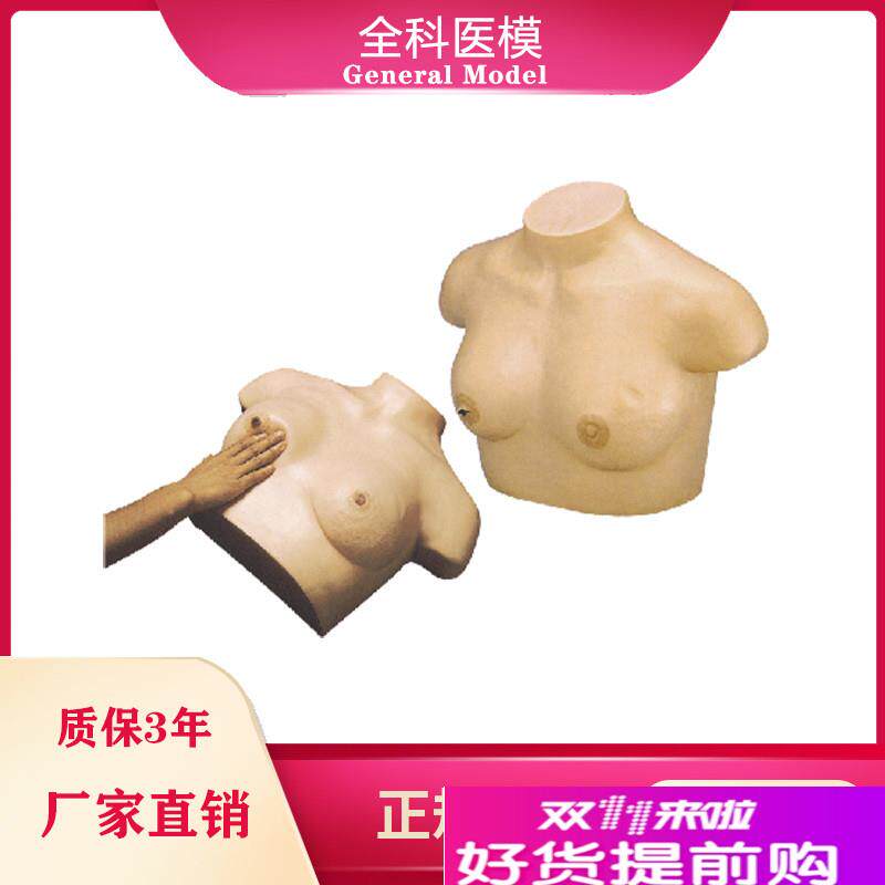 乳腺视诊与触诊模型乳房检查临床教K学女性催乳训练诊断模型