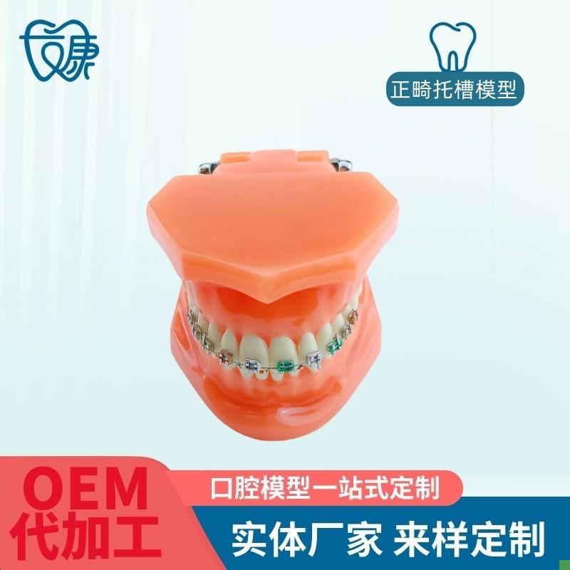 正畸错位牙齿模型k牙齿矫正模型厂家直供口腔教学模型牙齿托槽矫