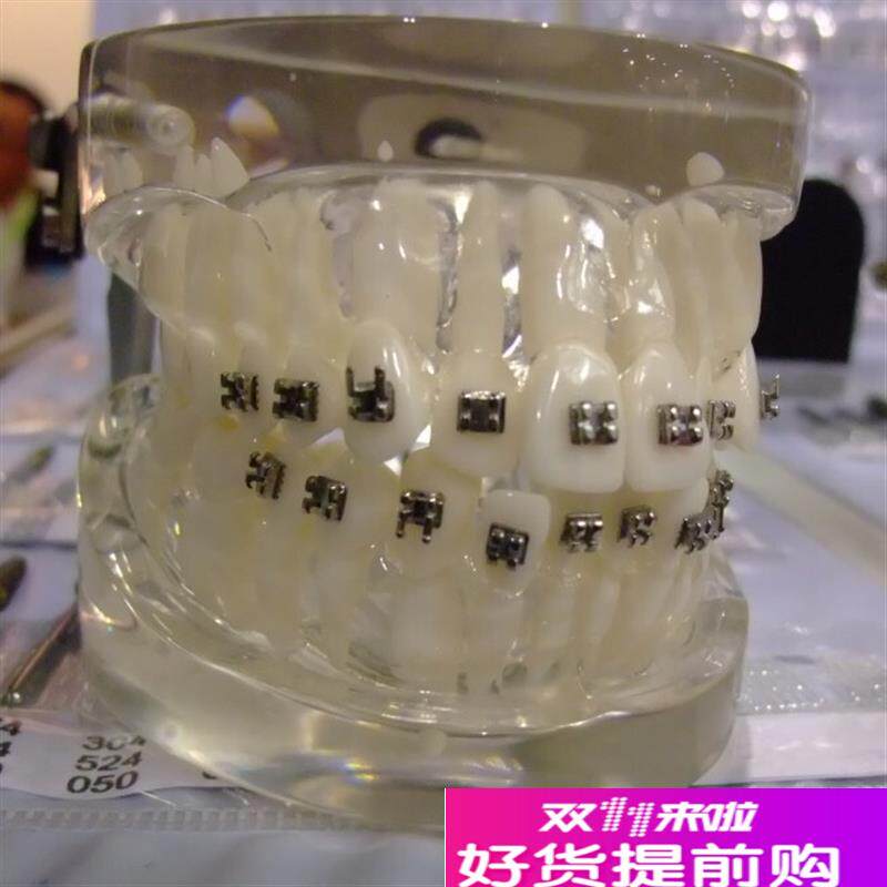 ENOVO颐诺口j腔正畸弓丝实训模型正畸训练口腔正畸弓丝弯制正畸教