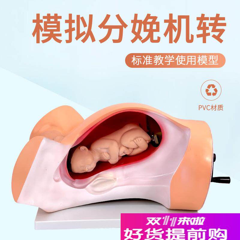 高级分娩机转示教模型妇幼v产科胎儿接生助产演示过程难产护理模