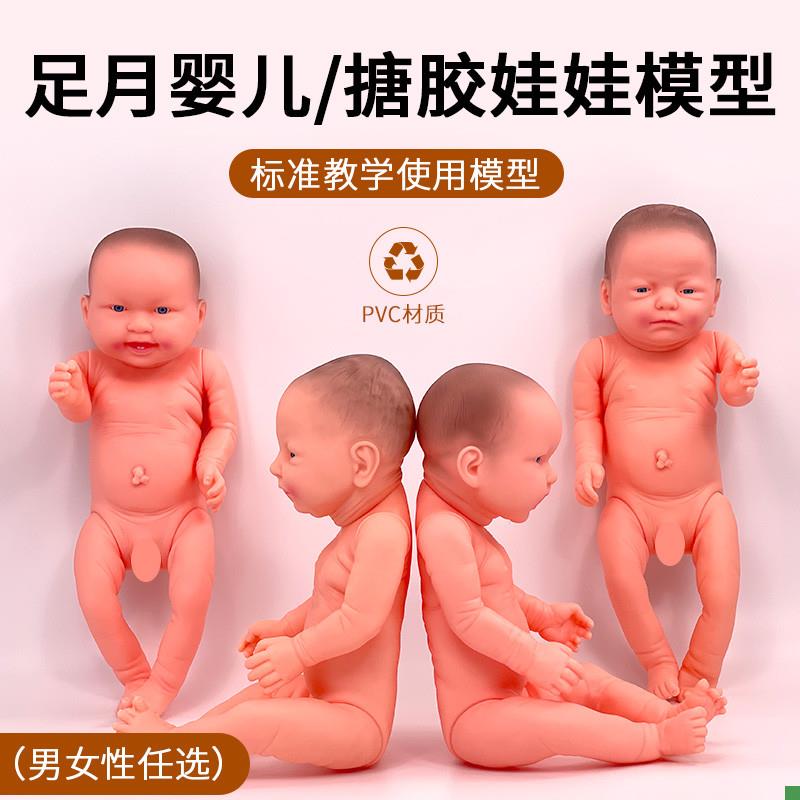 全软胶仿真娃娃婴儿月嫂家政培训宝宝洗澡橡胶新生儿X模型教具玩