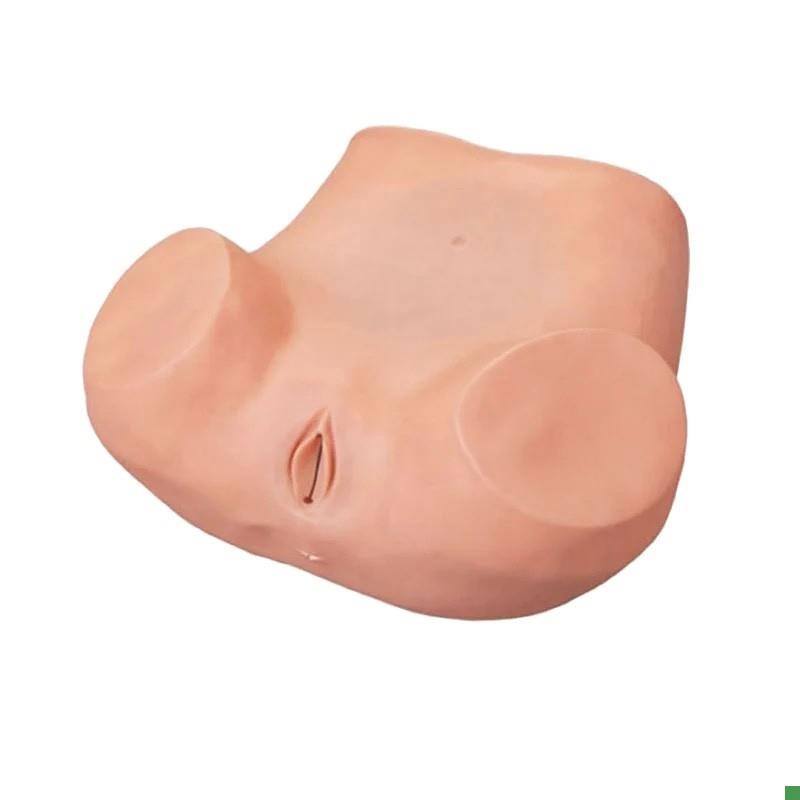 上海妇科训练内诊训练模型妇女检查模型妇婴训练模型子Y宫触诊视