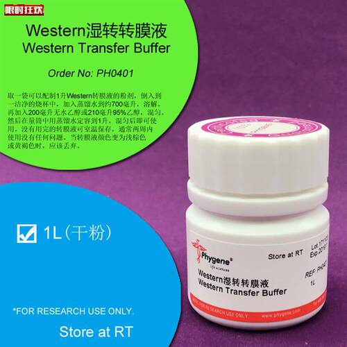 estern湿转转i膜液湿法电转膜液1L干粉PH0401Phygene