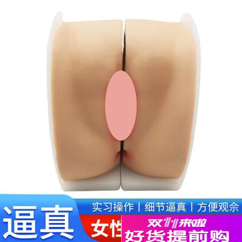 避孕指导模型女性上环训练模型女性节育计生模型X计生教育教具