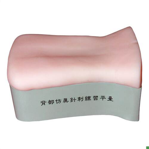 背部仿真针刺练习平台后背部针灸针刺训练模型背部扎Z针练习模型